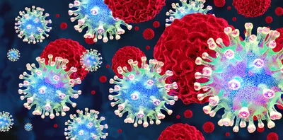 Spherical viruses with spiked membrane proteins on their surfaces surround larger suspended cancer cells.&nbsp;